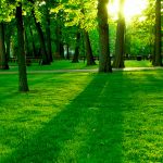 Environment_pratusruti