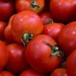Tomatoe